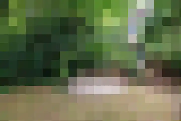 Lindeboom 48 Mook thumbnail 47