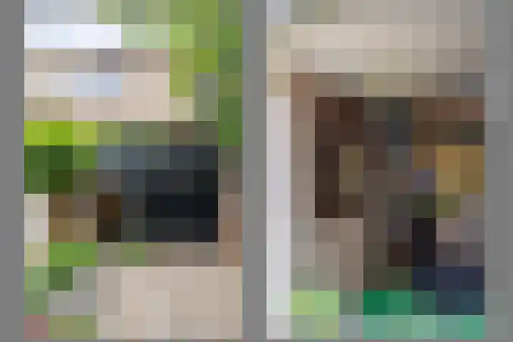 Lindeboom 48 Mook thumbnail 48