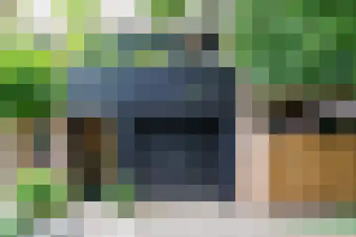 Lindeboom 48 Mook thumbnail 49