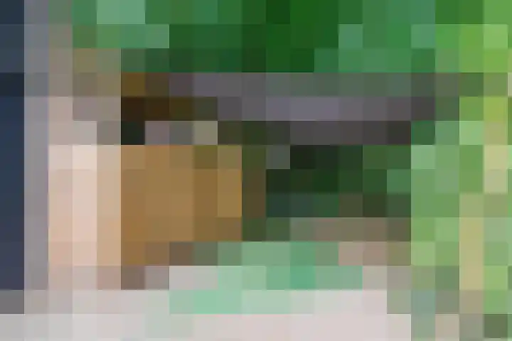 Lindeboom 48 Mook thumbnail 51