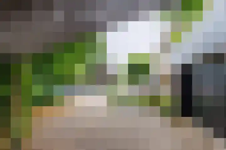 Lindeboom 48 Mook thumbnail 52
