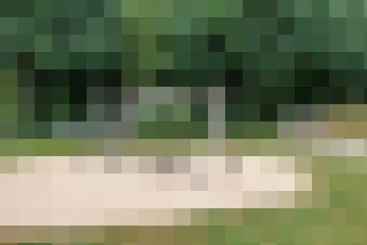 Lindeboom 48 Mook thumbnail 53