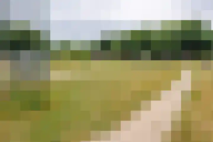 Lindeboom 48 Mook thumbnail 54