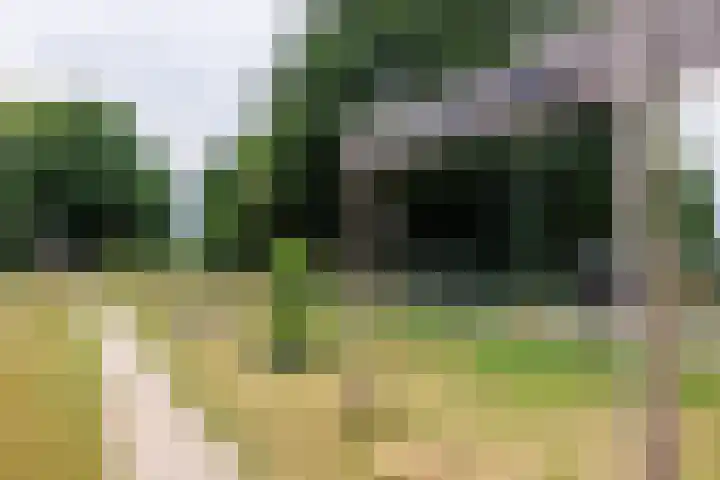 Lindeboom 48 Mook thumbnail 55