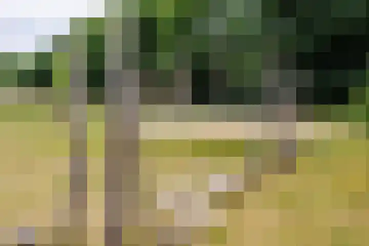 Lindeboom 48 Mook thumbnail 56