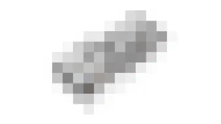 Lindeboom 48 Mook thumbnail 63