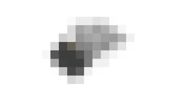 Lindeboom 48 Mook thumbnail 65