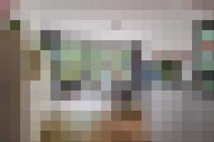 Lindeboom 48 Mook thumbnail 7