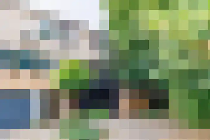 Lindeboom 48 Mook thumbnail 70