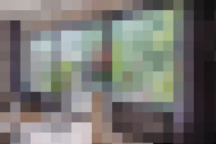 Lindeboom 48 Mook thumbnail 8