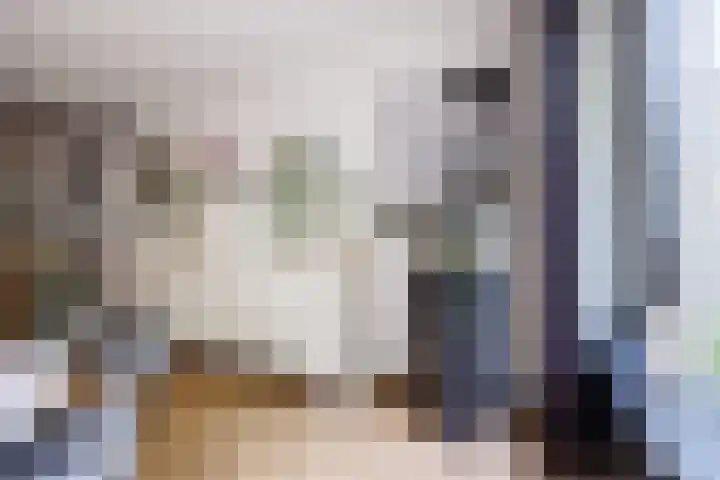 Lindeboom 48 Mook thumbnail 9