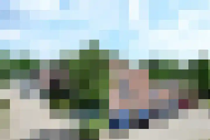 Lindeboom 90 Mook