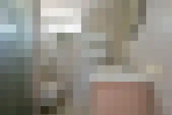 Lindeboom 90 Mook thumbnail 13