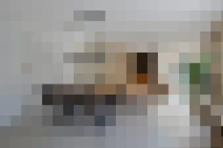 Lindeboom 90 Mook thumbnail 4