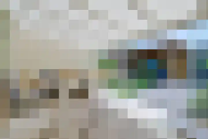 Lindeboom 90 Mook thumbnail 7