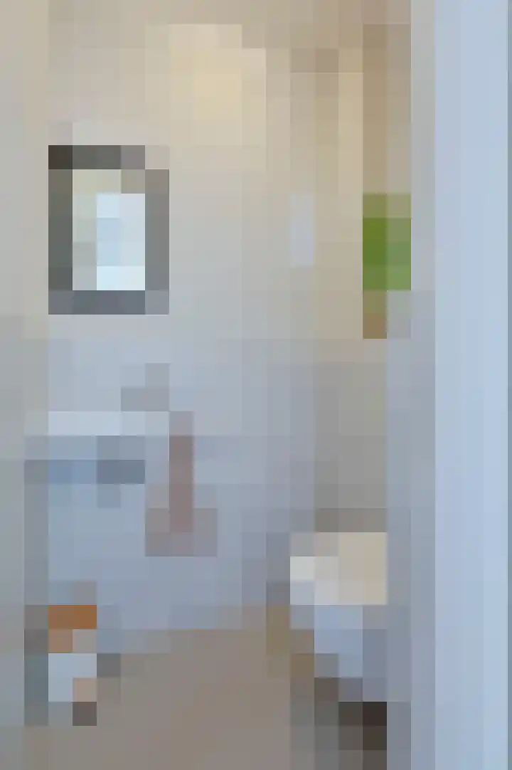 Lindeboom 90 Mook thumbnail 9