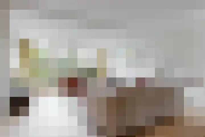Lindelaan 12 A Leiderdorp thumbnail 10