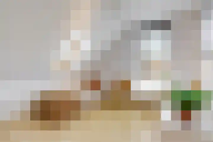 Lindelaan 12 A Leiderdorp thumbnail 34