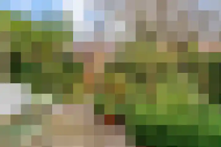 Lindelaan 12 A Leiderdorp thumbnail 42