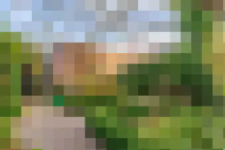 Lindelaan 12 A Leiderdorp thumbnail 45