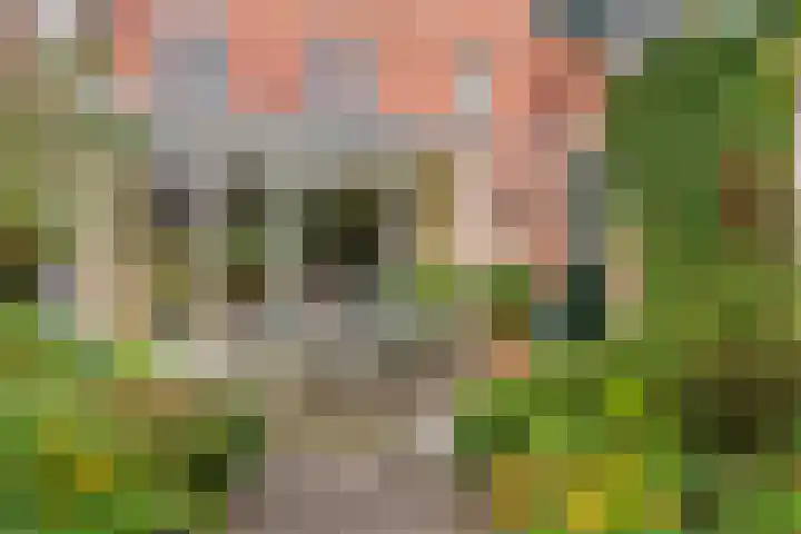 Lindelaan 12 A Leiderdorp thumbnail 46