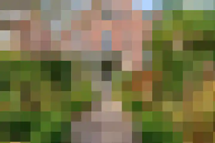 Lindelaan 12 A Leiderdorp thumbnail 47