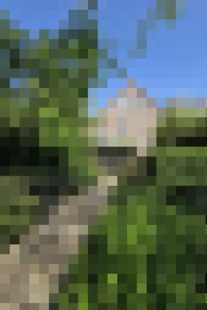 Lindelaan 12 A Leiderdorp thumbnail 50