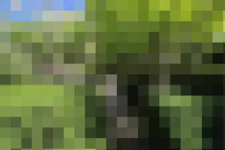 Lindelaan 12 A Leiderdorp thumbnail 52