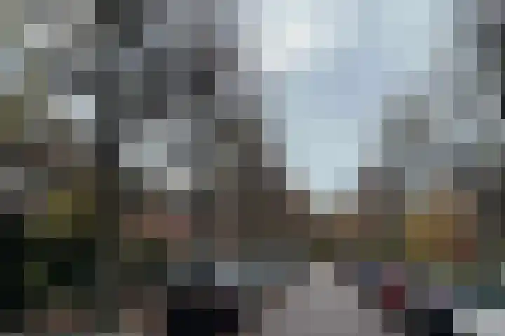 Lindelaan 12 A Leiderdorp thumbnail 56