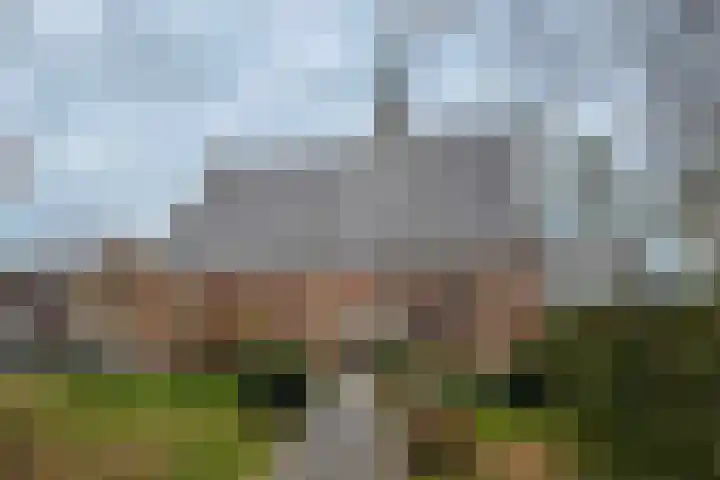 Lindelaan 12 A Leiderdorp thumbnail 59