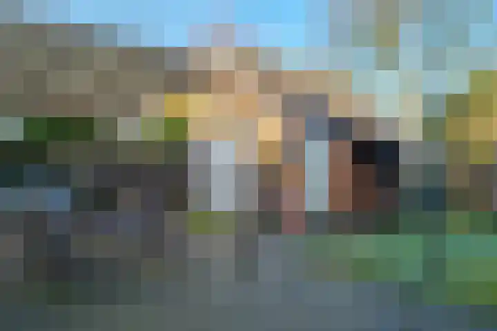 Lindelaan 36 Westerbork thumbnail 42
