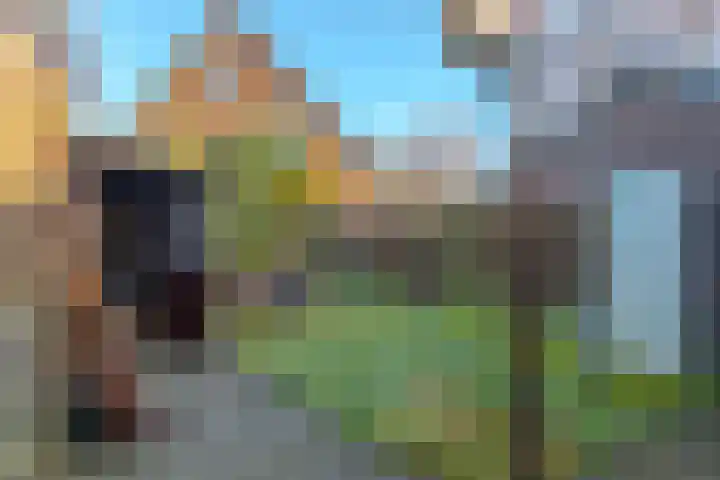 Lindelaan 36 Westerbork thumbnail 47