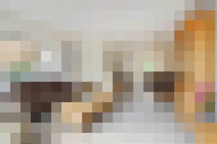 Lindendreef 9 Bleiswijk thumbnail 13