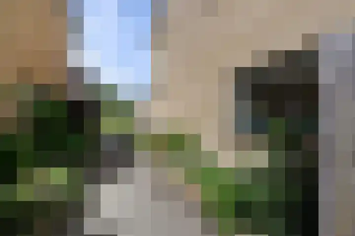Lindendreef 9 Bleiswijk thumbnail 18