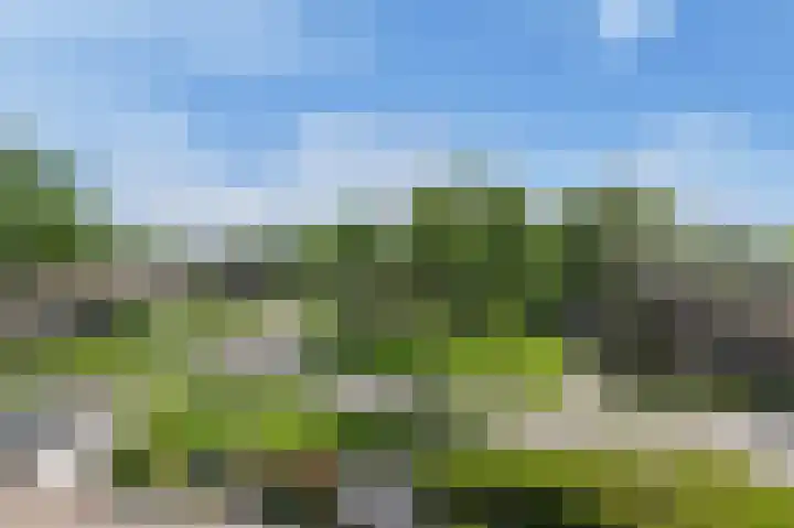 Lindendreef 9 Bleiswijk thumbnail 43