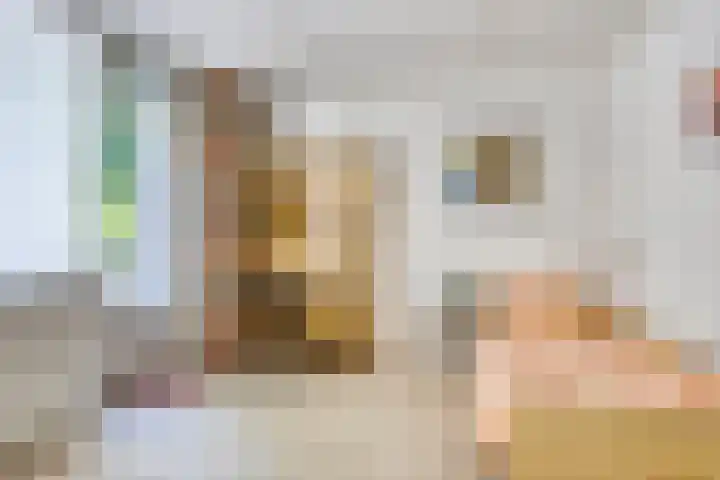Lindengaard 18 Goirle thumbnail 20