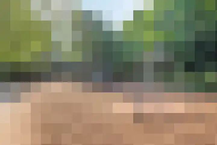 Lindengaard 18 Goirle thumbnail 35