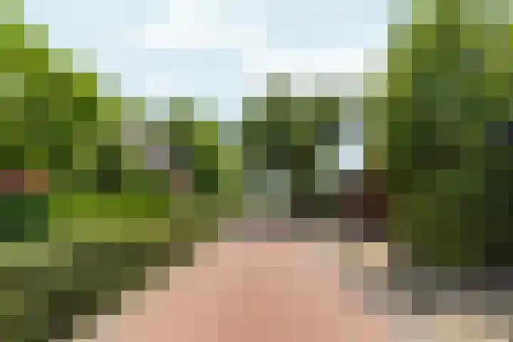 Lindengouw 120 Almere thumbnail 38