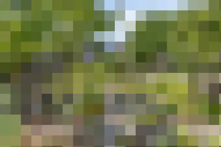 Lindengouw 54 Almere thumbnail 32
