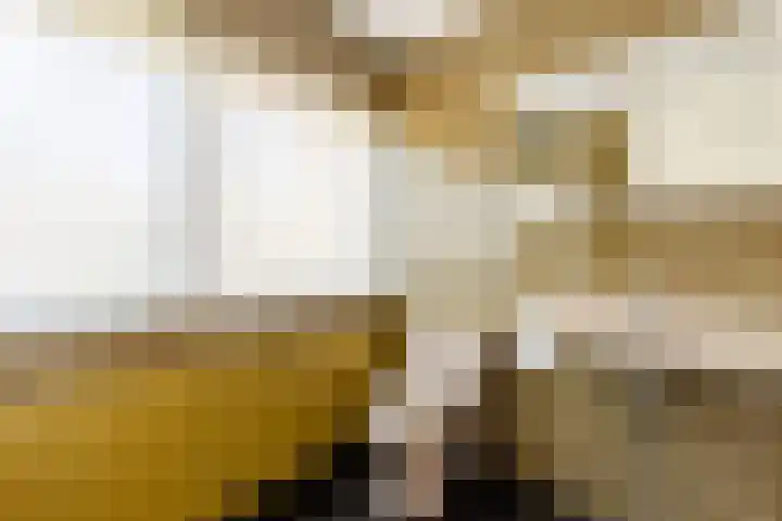 Lindenhorst 6 Rockanje thumbnail 21