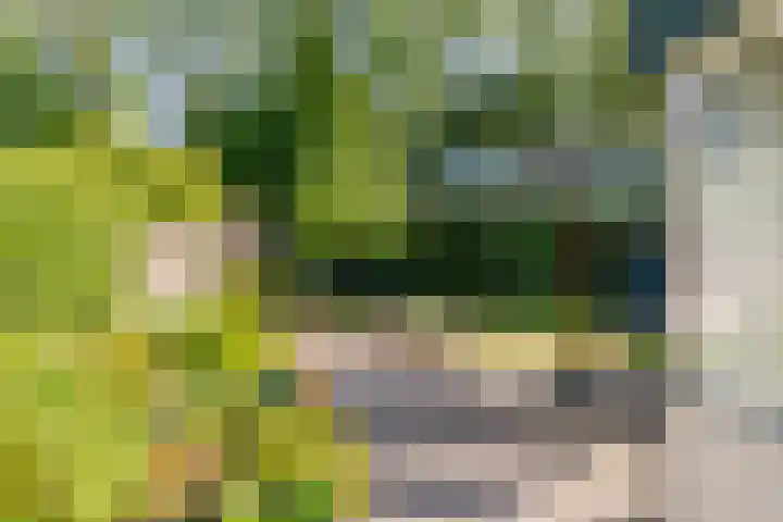 Lindenhorst 6 Rockanje thumbnail 23