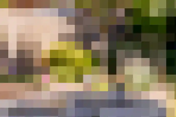 Lindenhorst 6 Rockanje thumbnail 26