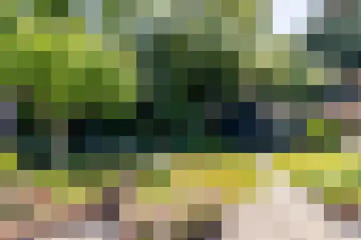 Lindenhorst 6 Rockanje thumbnail 27