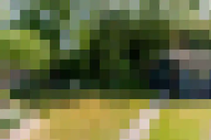 Lindenhorst 6 Rockanje thumbnail 28