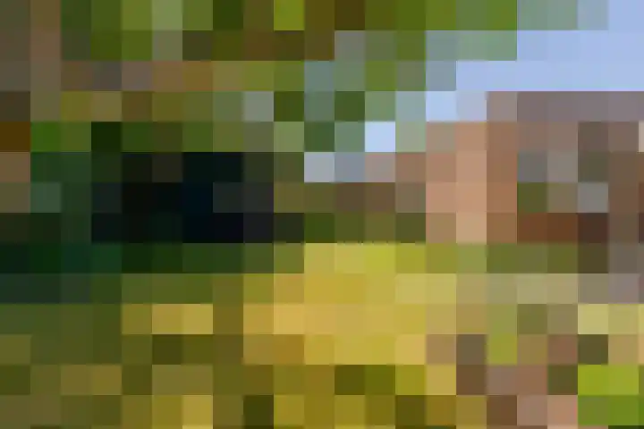 Lindenhorst 6 Rockanje thumbnail 30