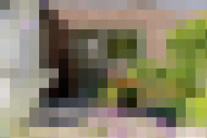 Lindenhorst 6 Rockanje thumbnail 31