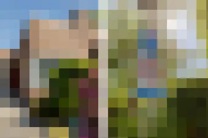 Lindenhorst 6 Rockanje thumbnail 34