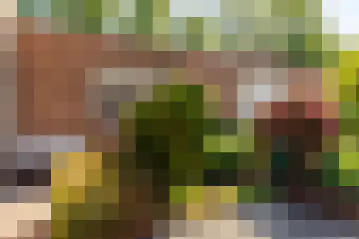 Lindenhorst 6 Rockanje thumbnail 35