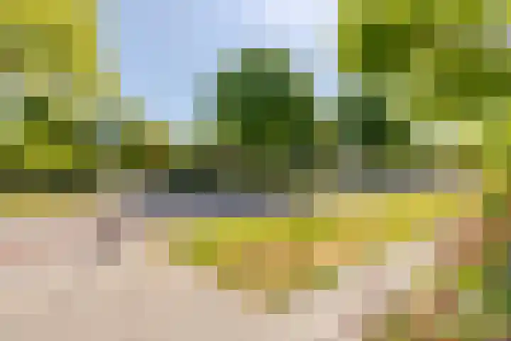 Lindenhorst 6 Rockanje thumbnail 36