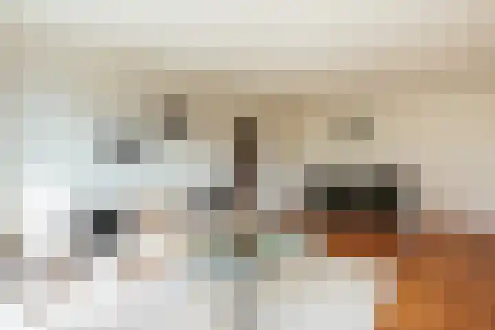 Lindenlaan 12 Staphorst thumbnail 12